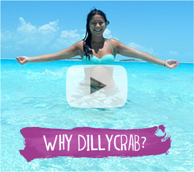 Why Dillycrab