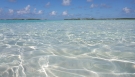 Exuma Beach White Sand- Dilly Crab